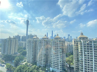远离繁忙与压力，尽情享受龙筋抓取的疗愈功效